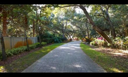 4828 South Peninsula Drive, Ponce Inlet, FL 32127
