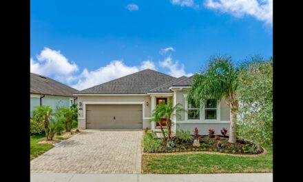 12341 Streambed Drive, Riverview, FL 33579